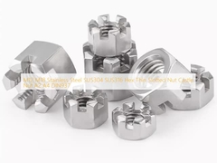 M12 M18 Stainless Steel SUS304 SUS316 Hex Thin Slotted Nut Castle Nut A2 A4 DIN937  