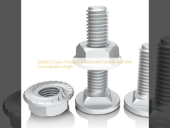 DIN603 Coarse Thread Bolt Metal Hex Carriage Bolt With Customizable Length