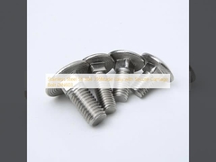 Stainless Steel SS 304 316Made Easy with Secure Carriage Bolt DIN603