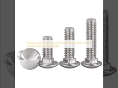 Stainless Steel Coach Round Head Carriage Bolt l SS304 SS316 SS316L A2 A4 DIN603